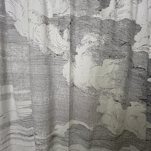 West Elm Etched Cloud Shower Curtain - Picture 3 of 3